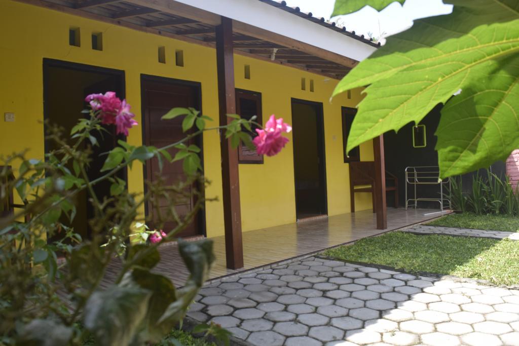 بانيووانجى Blue Flame Inn المظهر الخارجي الصورة